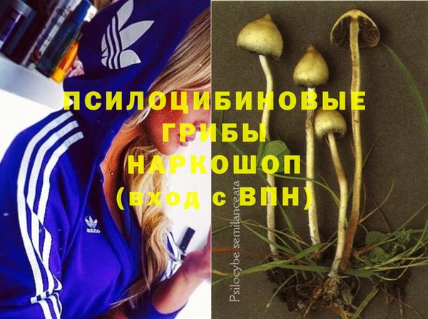 прущий лед Заводоуковск