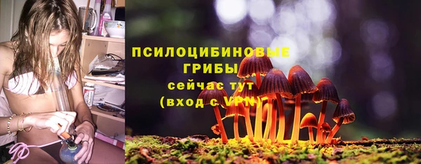 прущий лед Заводоуковск