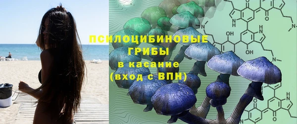 apvp Заволжье