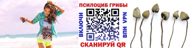 Купить закладки  Новопавловск  Галлюциногенные грибы мицелий 